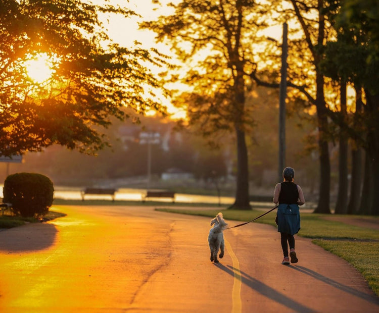 Health and Lifestyle - My Store