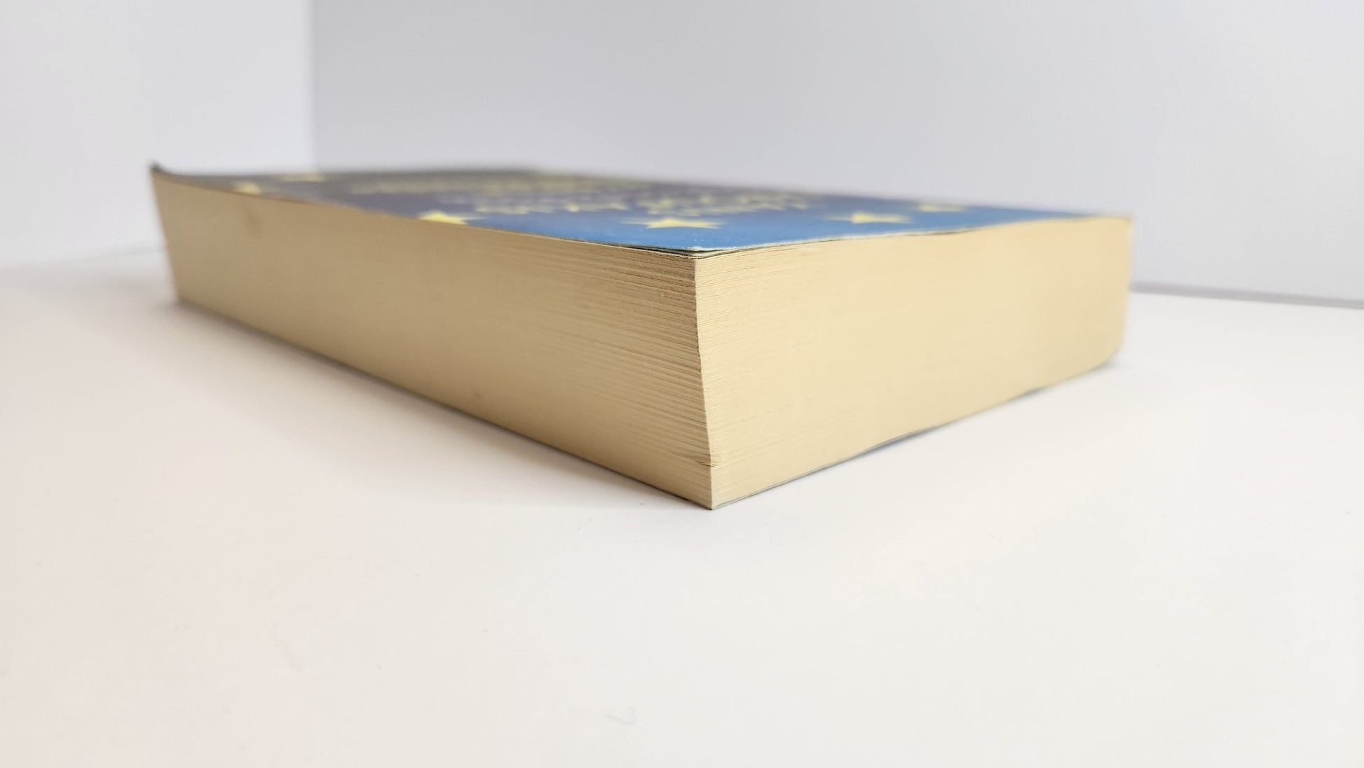 Adults In The Room: My Battle With Europe’s Deep Establishment - Oakmont Books