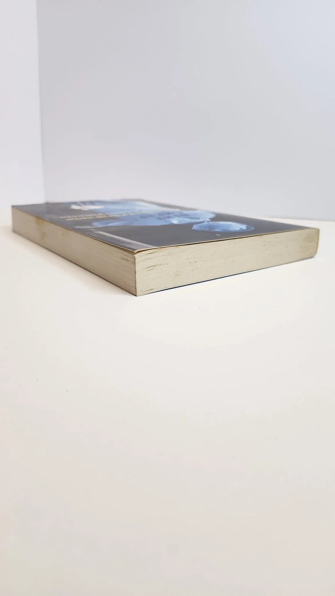 Dirt Cheap: Life at the Wrong End of the Job Market - Oakmont Books