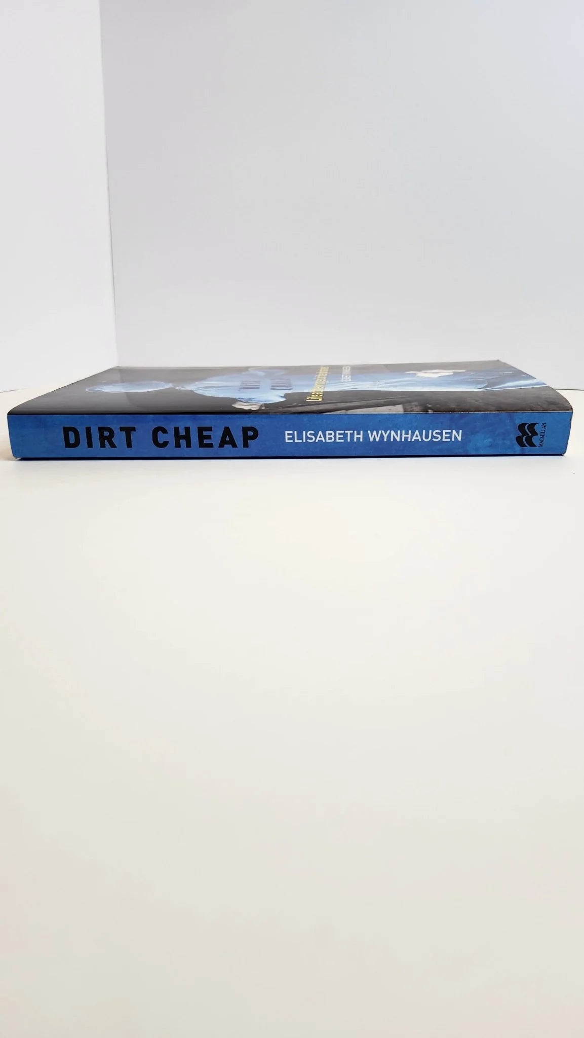 Dirt Cheap: Life at the Wrong End of the Job Market - Oakmont Books
