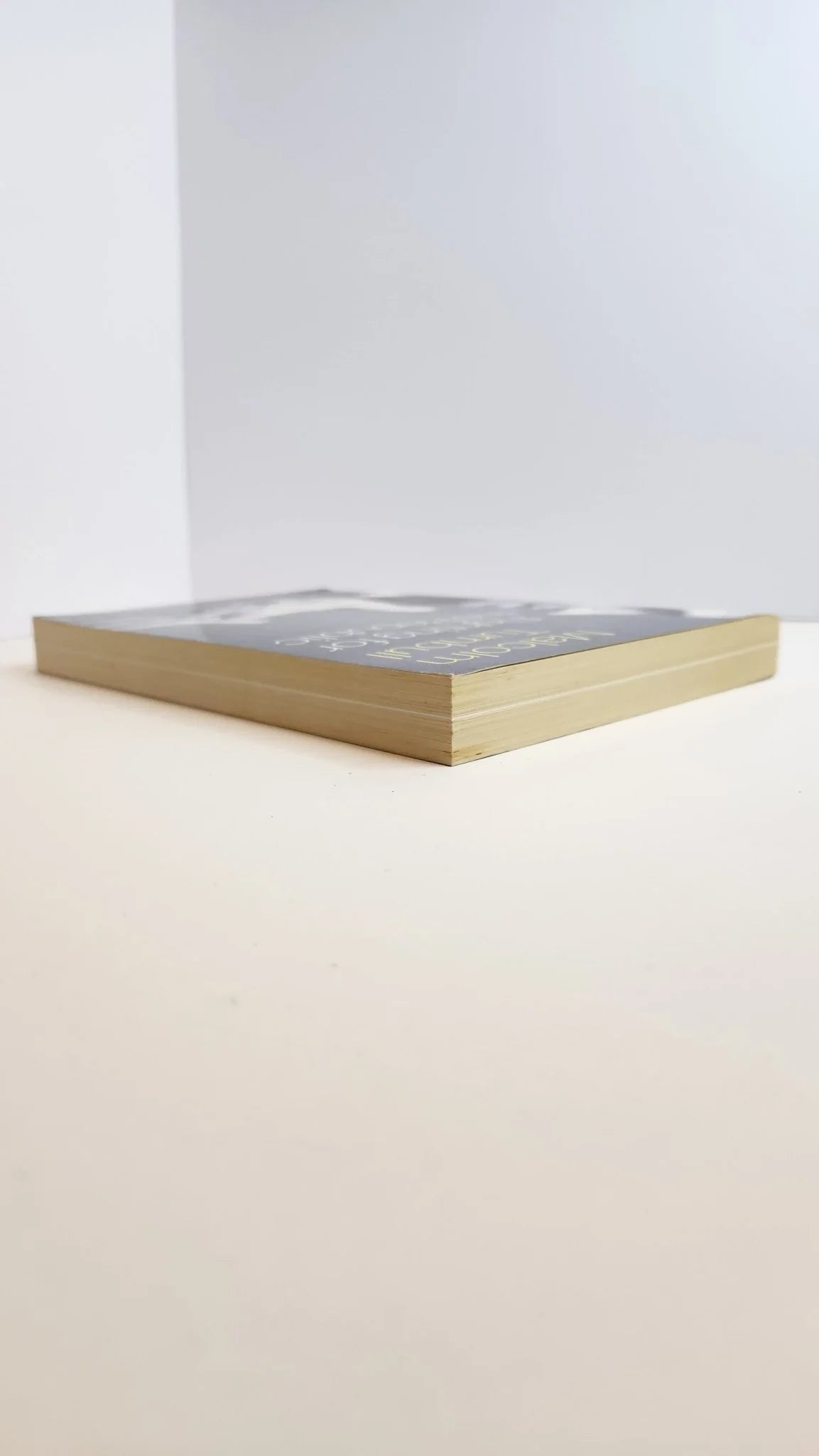 Fighting for the Republic (1st EDITION) - Oakmont Books