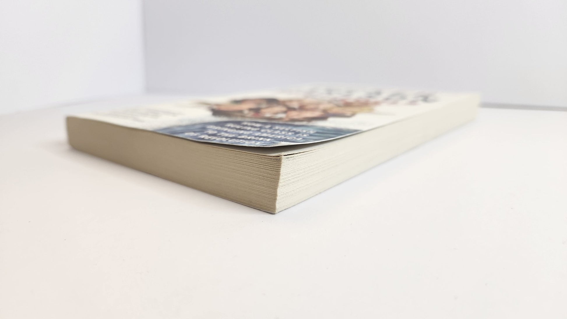 Ship of Fools: How a Selfish Ruling Class Is Bringing America to the Brink of Revolution - Oakmont Books